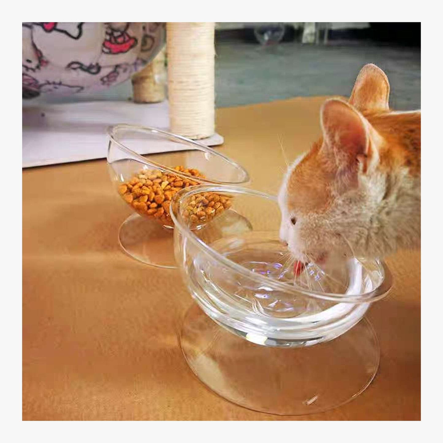 Acrylic Pet Double Bowl – product view 2